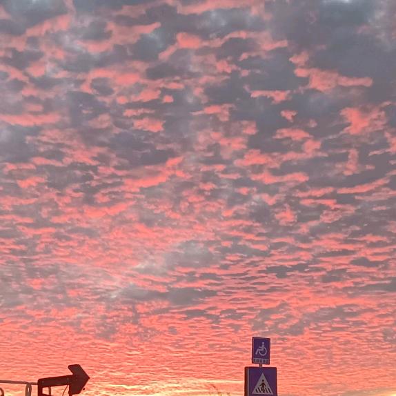 没有后退，只能前进