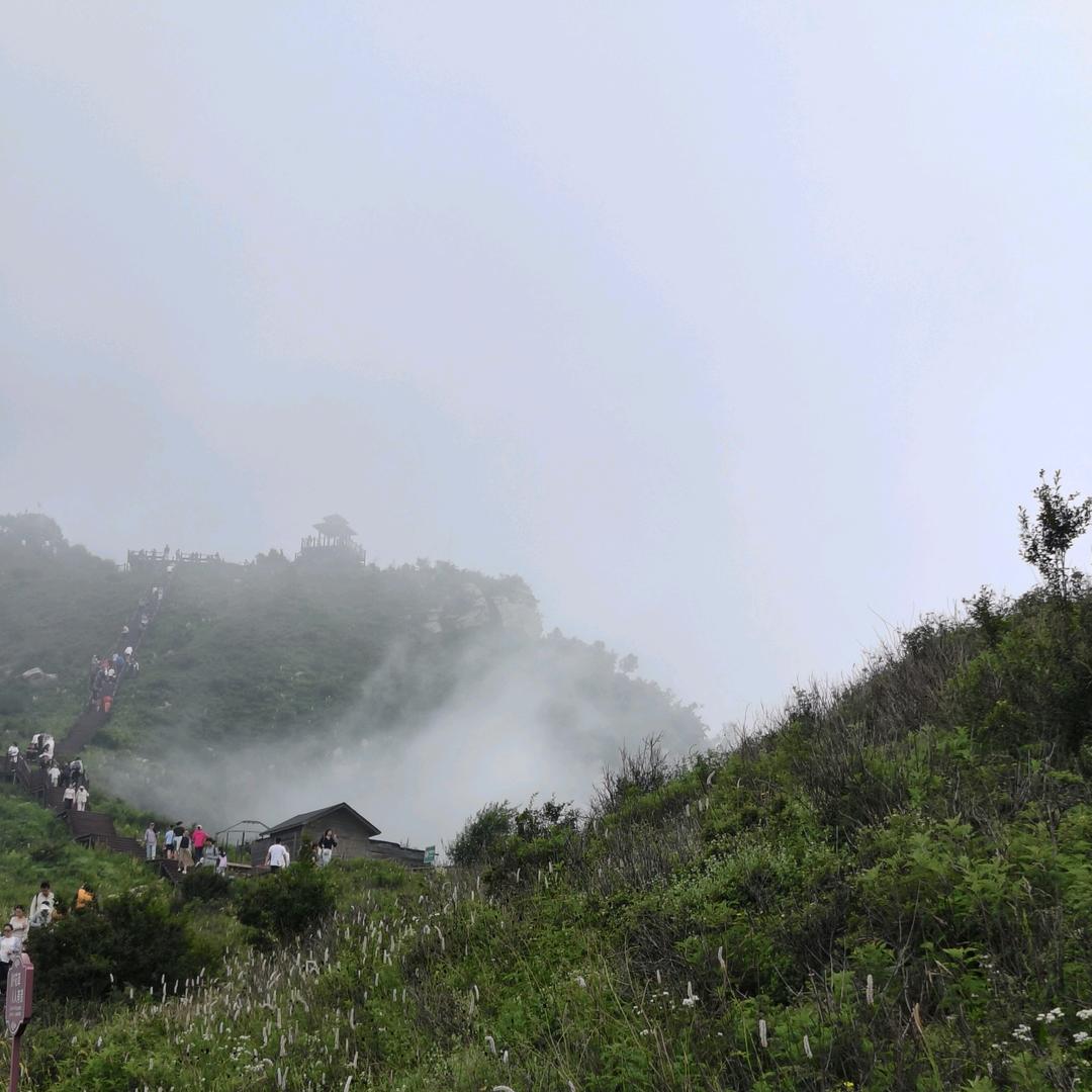 AAA