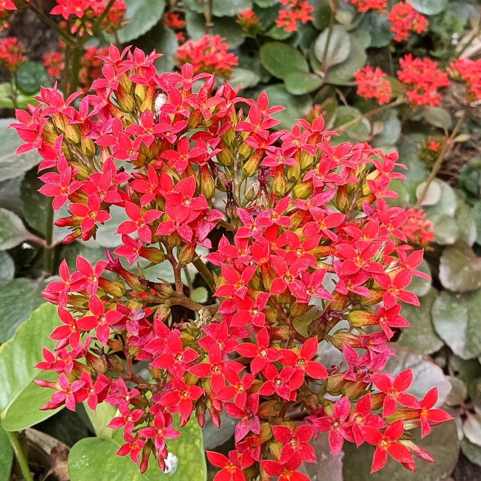 @沉默是金