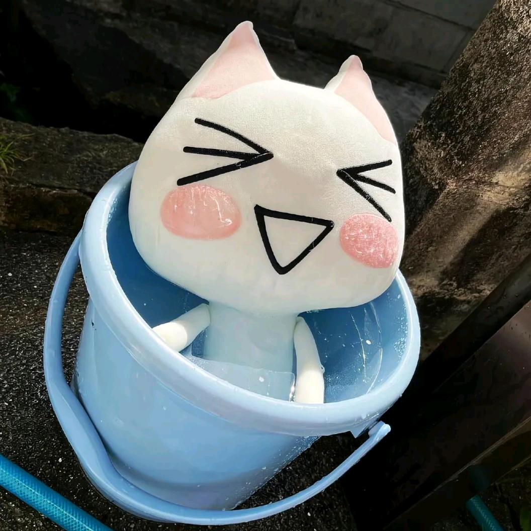 橙鱼问鹿🍓🌿