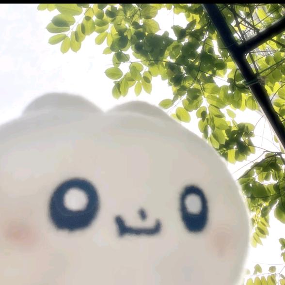 乐怄流