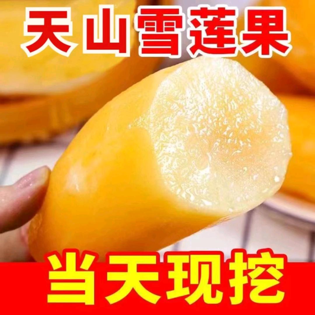 云南雪莲果合作社C