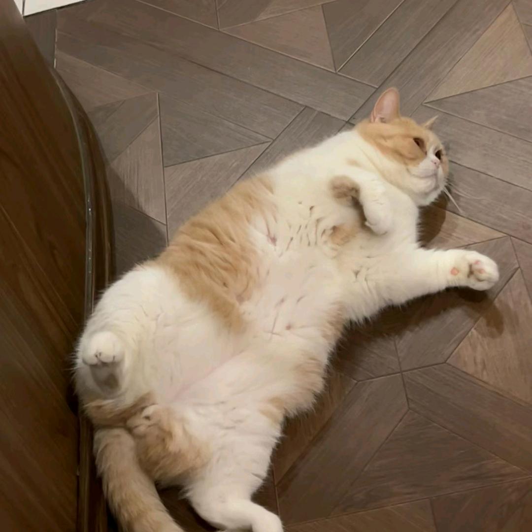 纪越