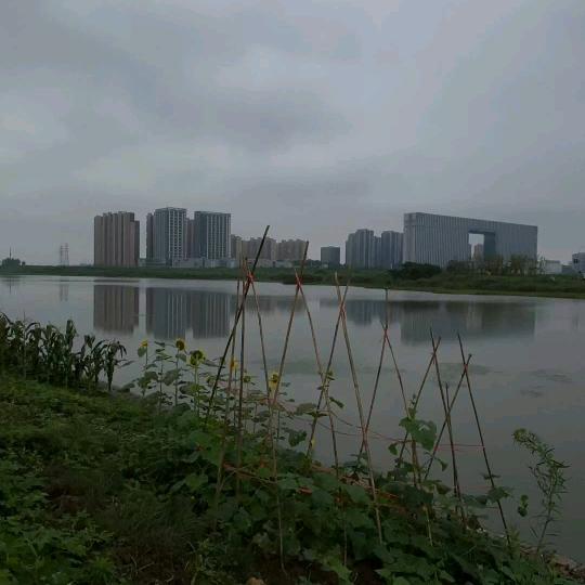春风吹又生