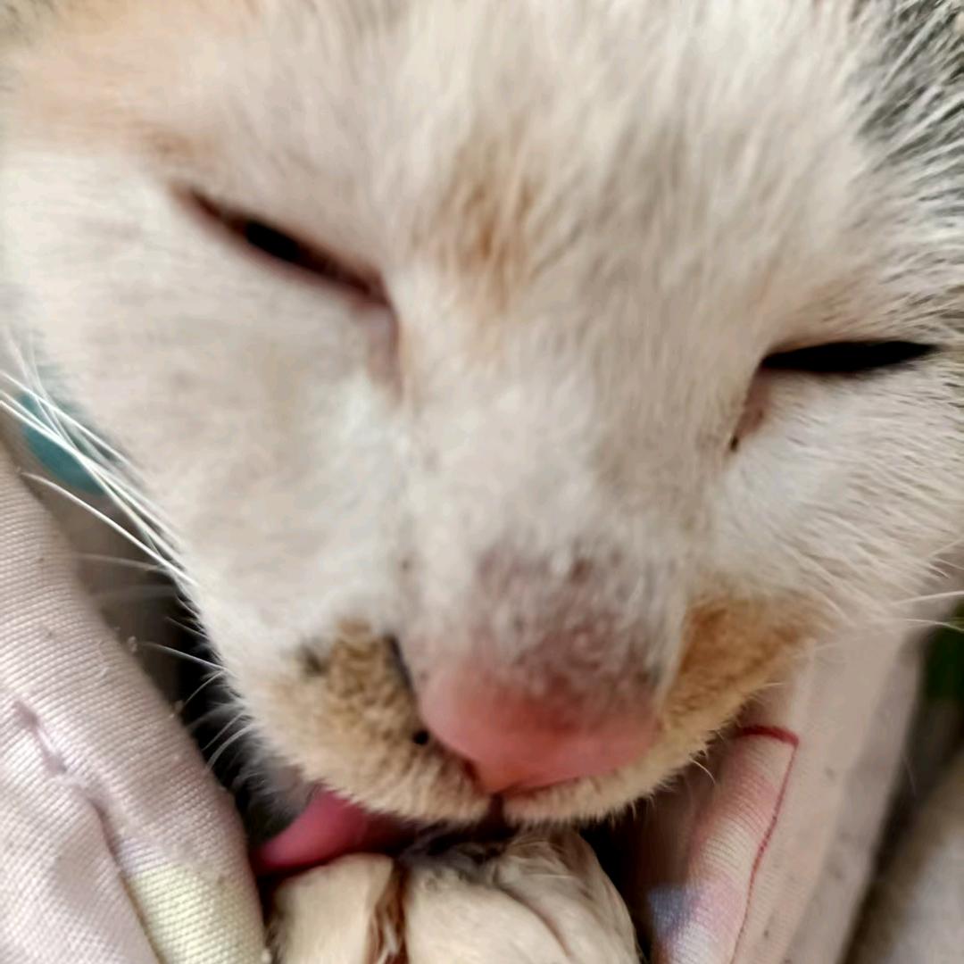 hkk你会画画不？