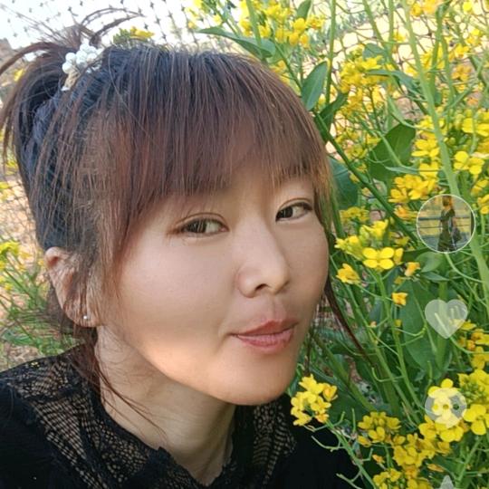 依依