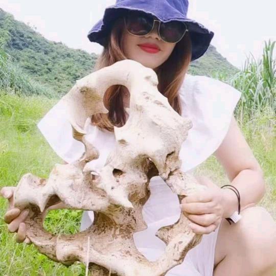 博蓝雅太湖石小号