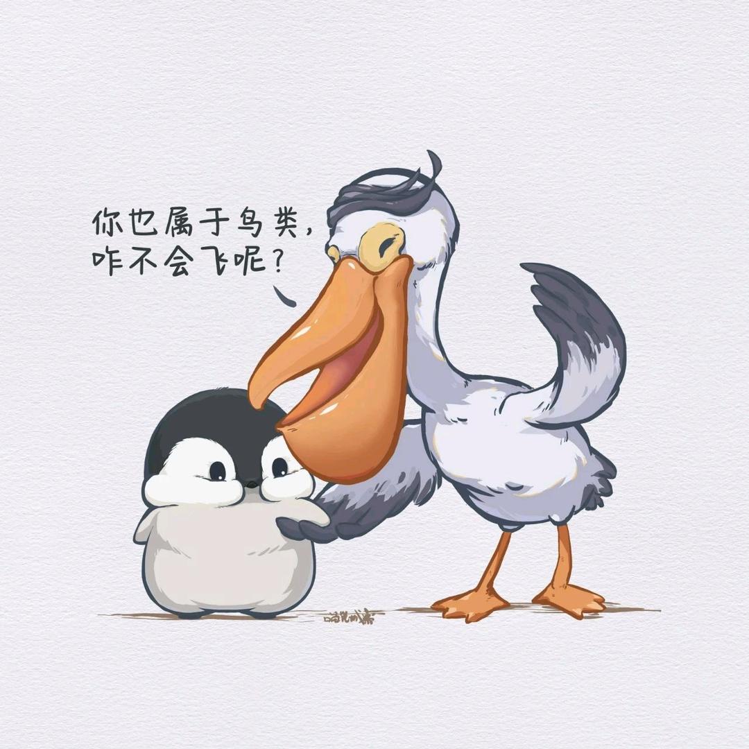 会飞的企鹅