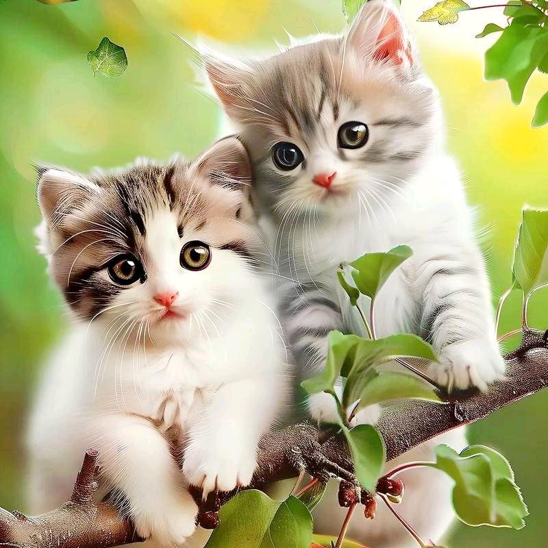 @:࿐ꦿ໌神秘人🕊༒࿈楊༙྇少🌇ོꦿ