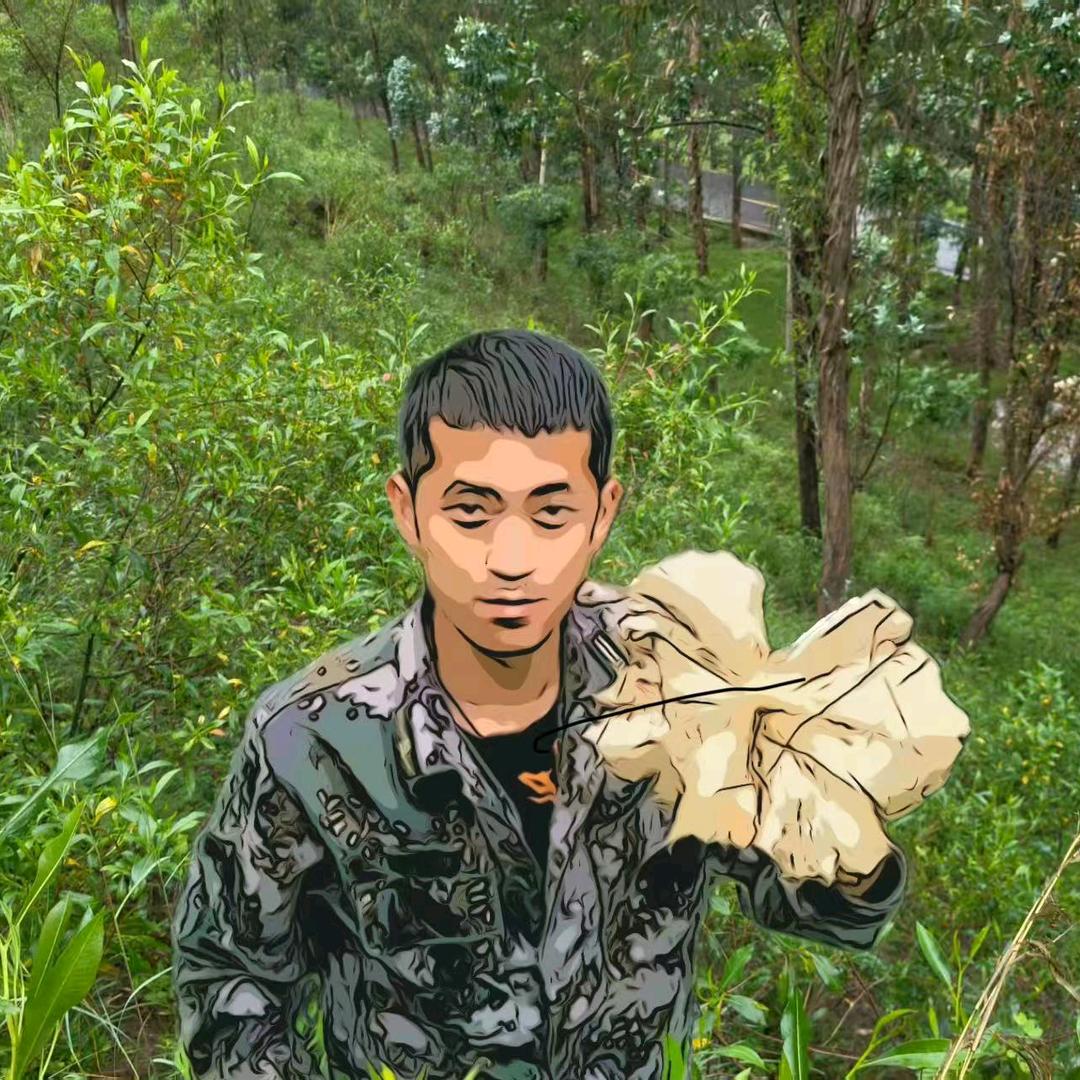 爱捡菌的~小龙🍄