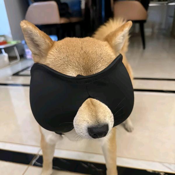 潇洒哥