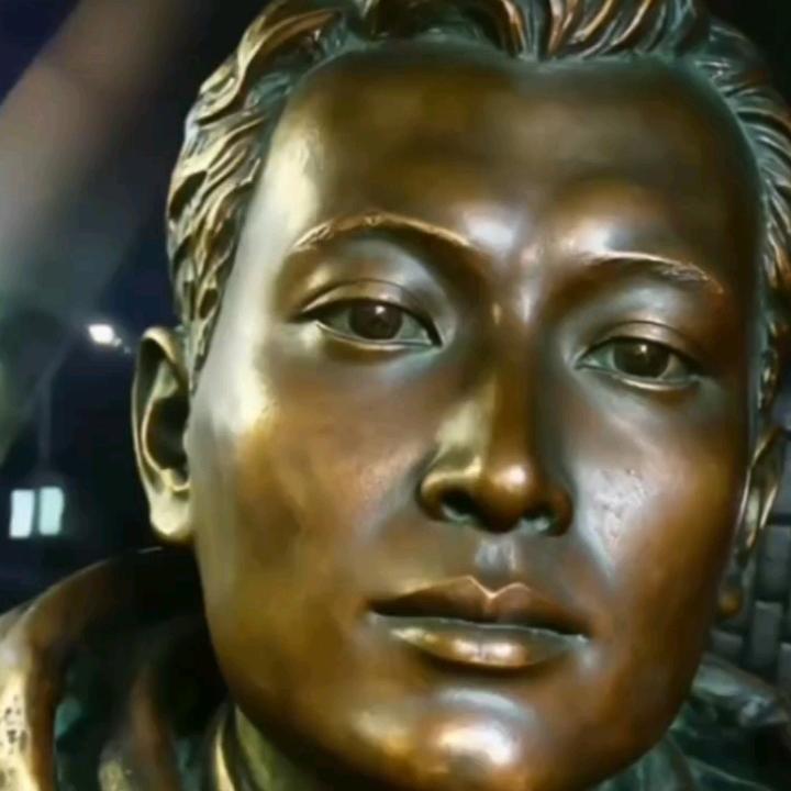 🌻🍀根草精华🪵闲来花草鱼🍀🌻