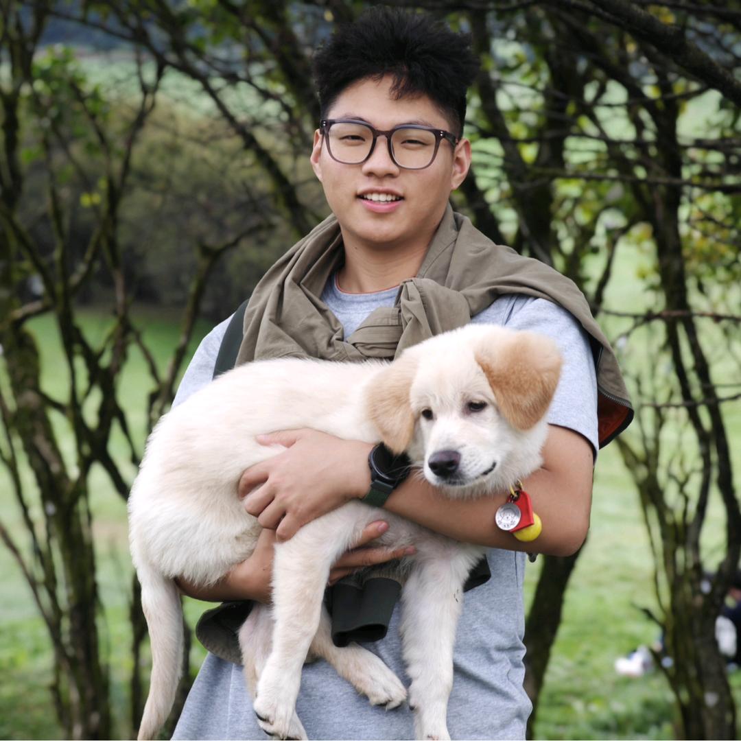 小汤鲜生游荡记