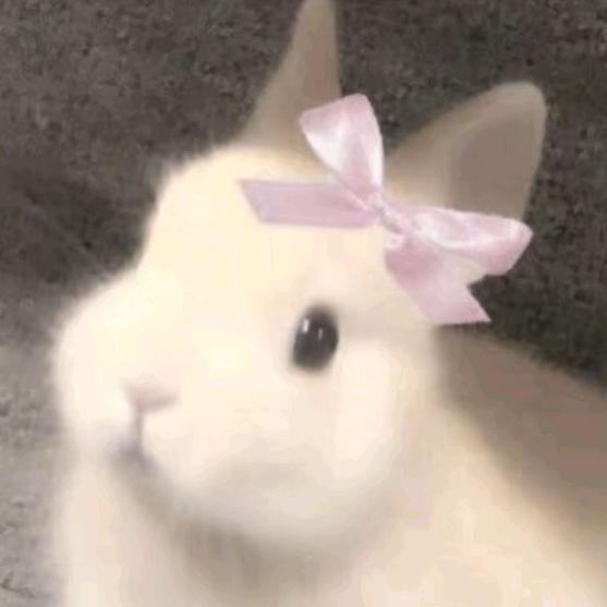 咋啦