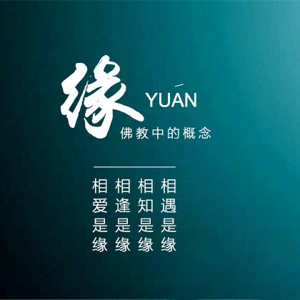 步履不停