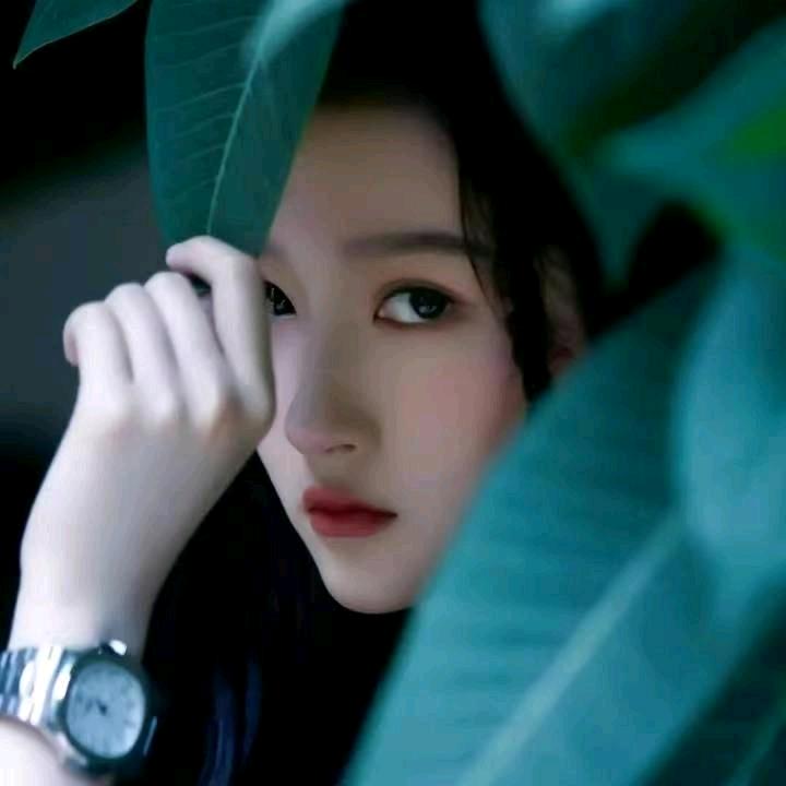 梦红颜