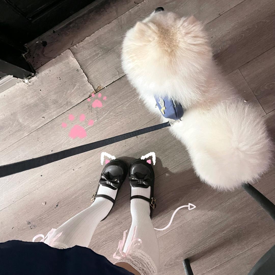琴琴乖