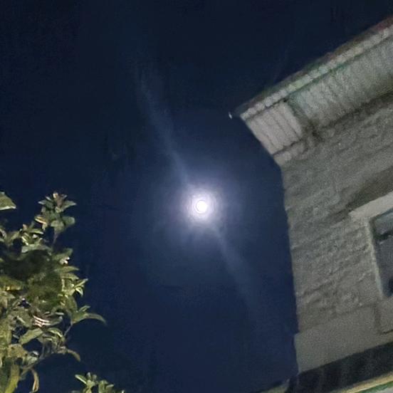 大利