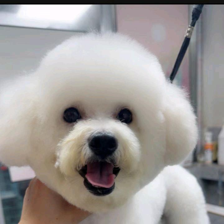 爱好钓鱼哥！为我一战。