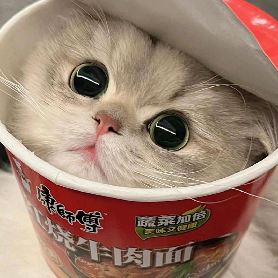 守约