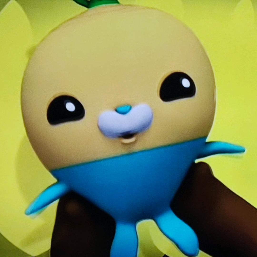 一闪一闪亮晶晶