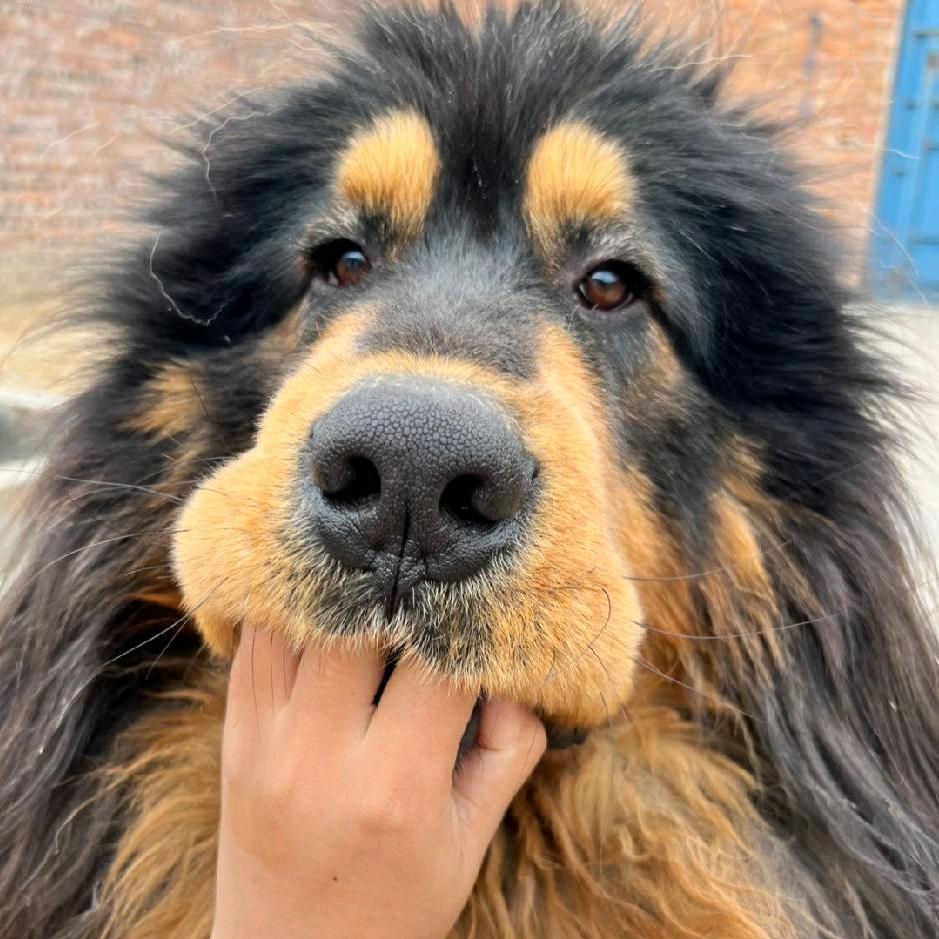 明天不洗头哦～