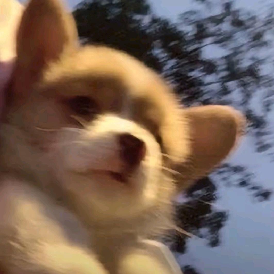 ㅤ财气罩着我🤩