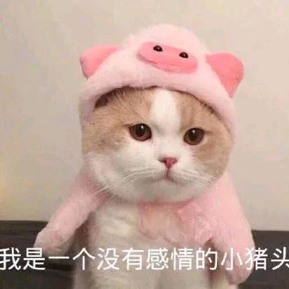 摩西摩西