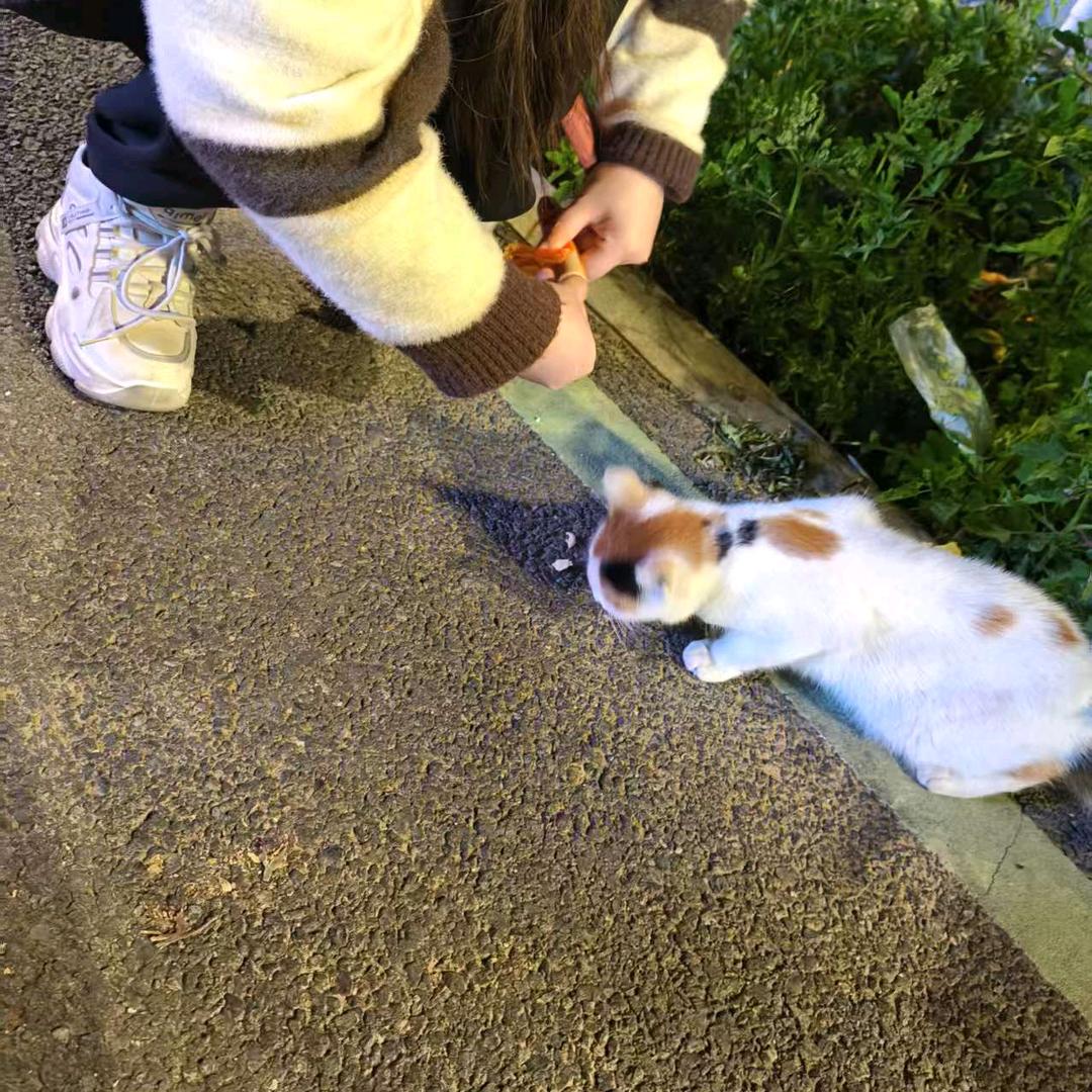 幸运儿
