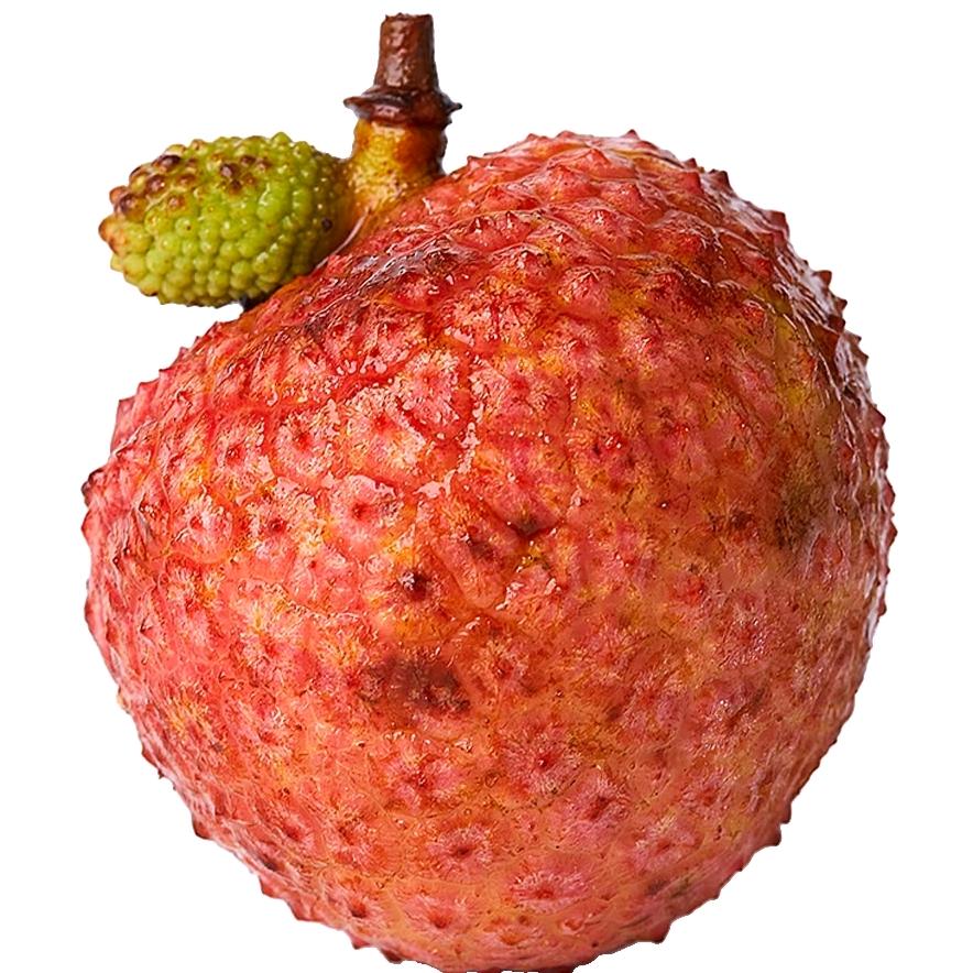 荔枝红了