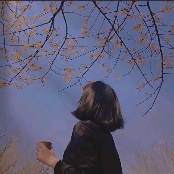 是小李吖✌