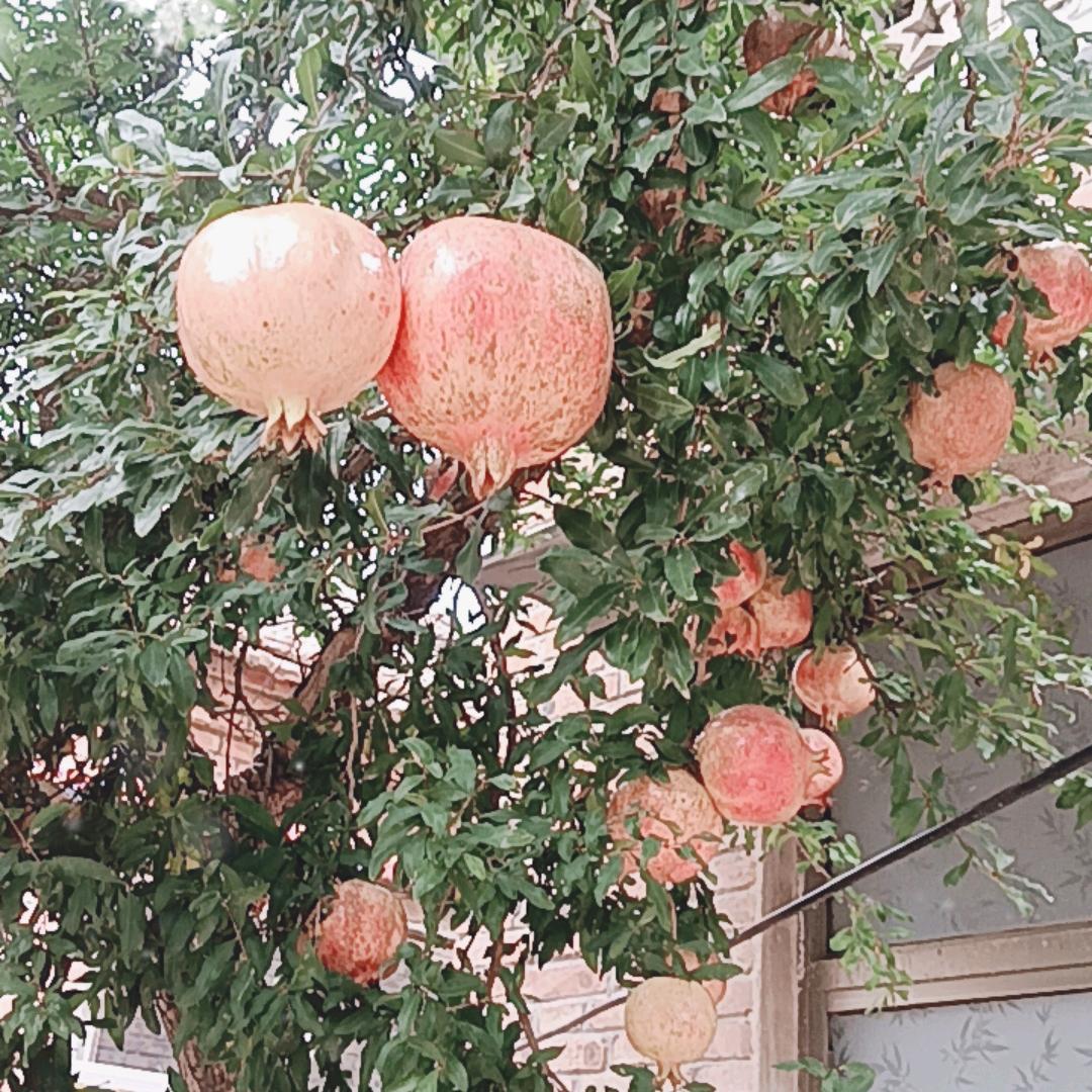 烟花易冷