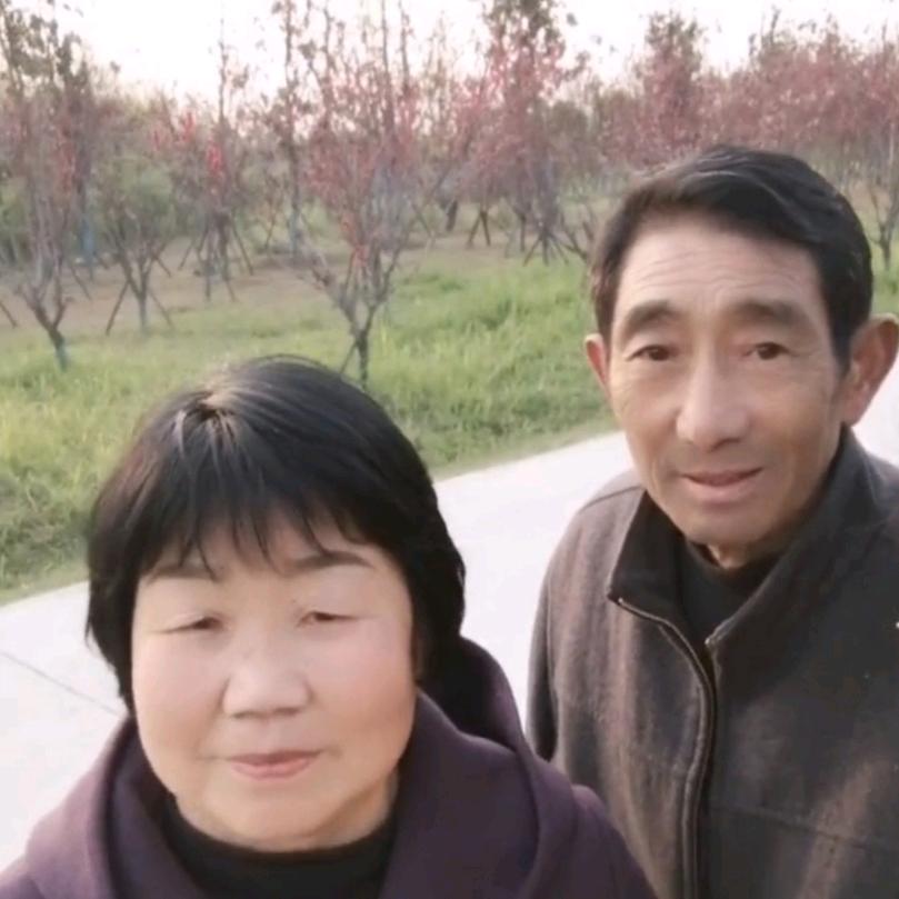 陶守臣老医的儿媳小管家