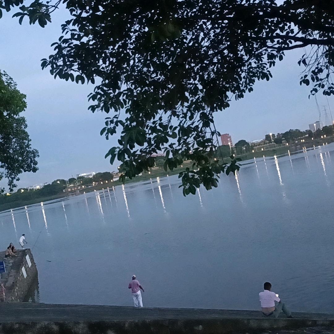 ღ᭄小丫头🕊᭄