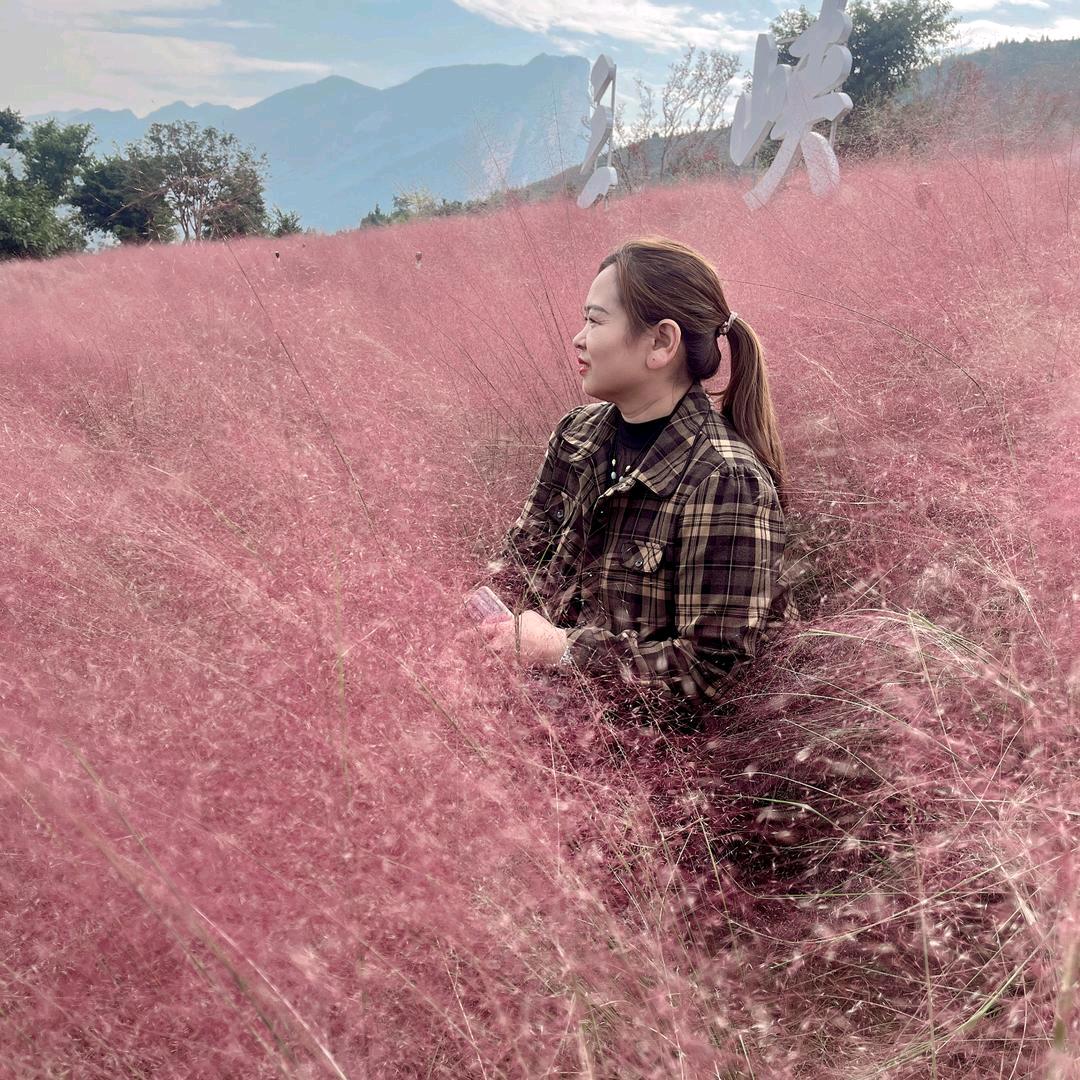 奉节姜大姐面条优品小铺