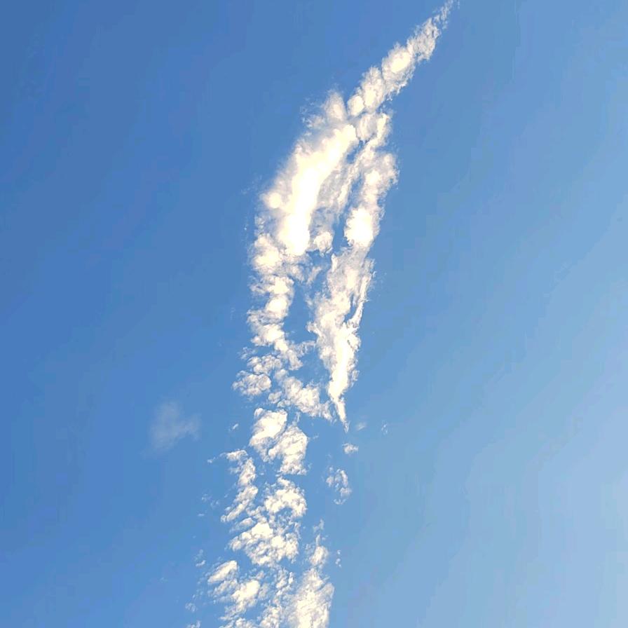 钦天剑蘓叔