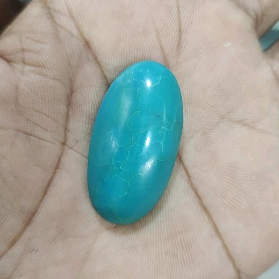 漂泊的远征者