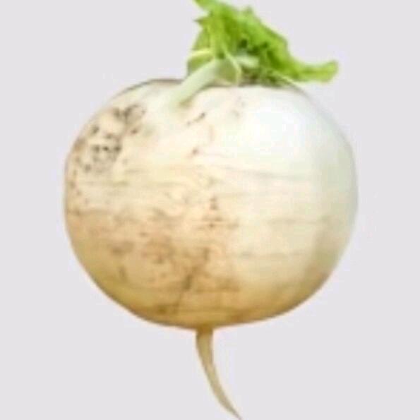 地弟
