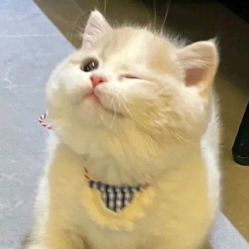 只是我的幸运星