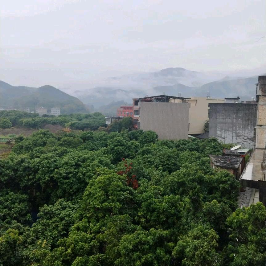 张水群