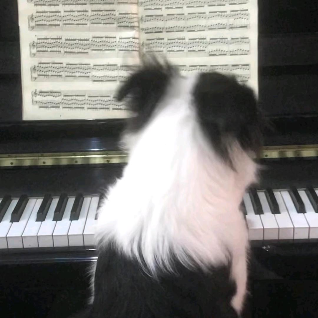 熙