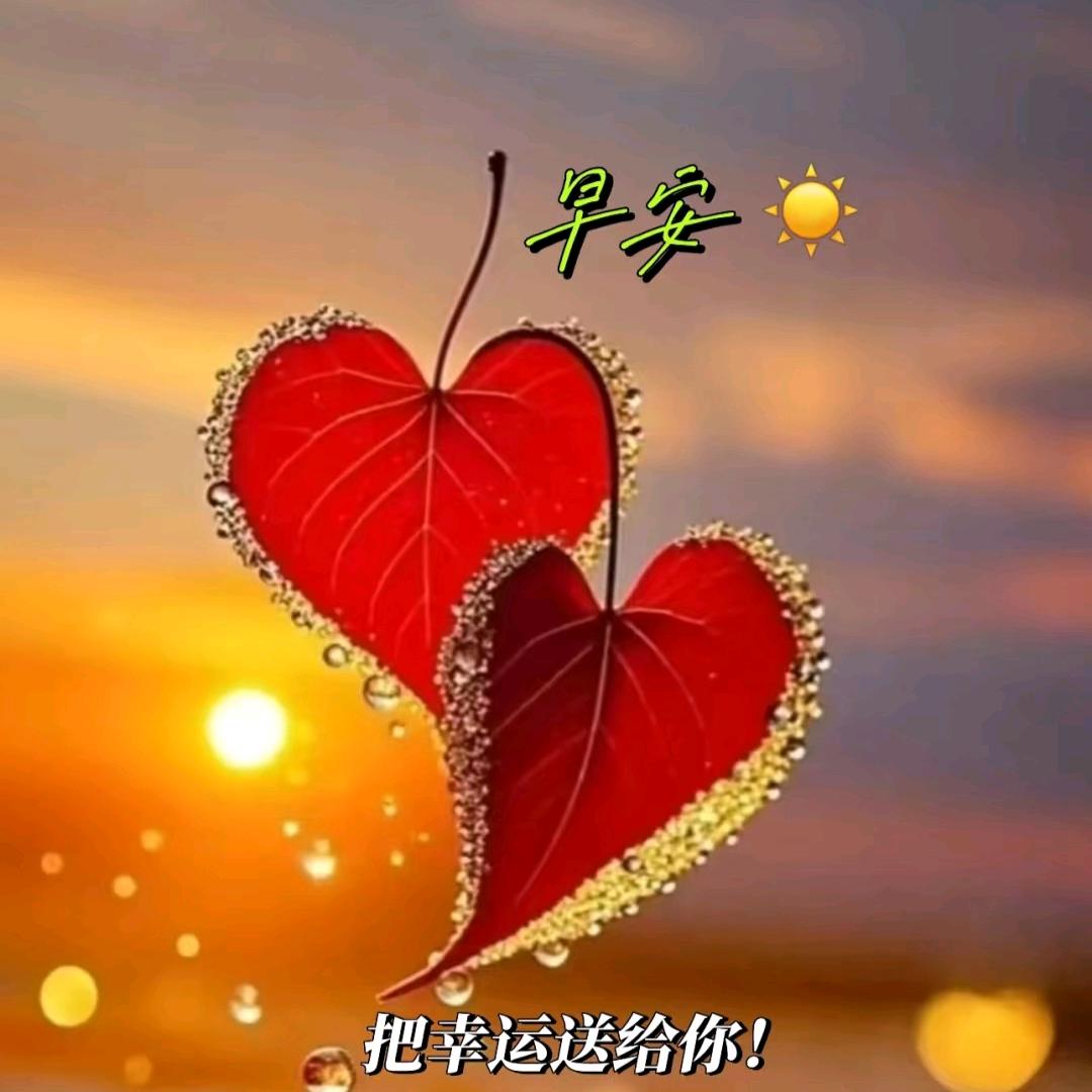 早安萌萌哒