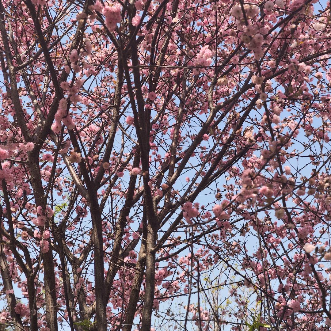 释怀～