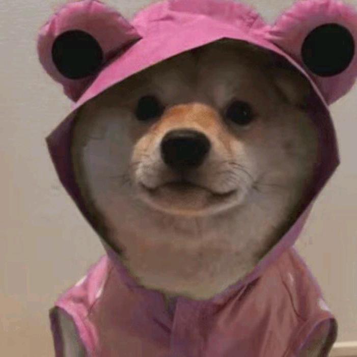 何时一起看日落