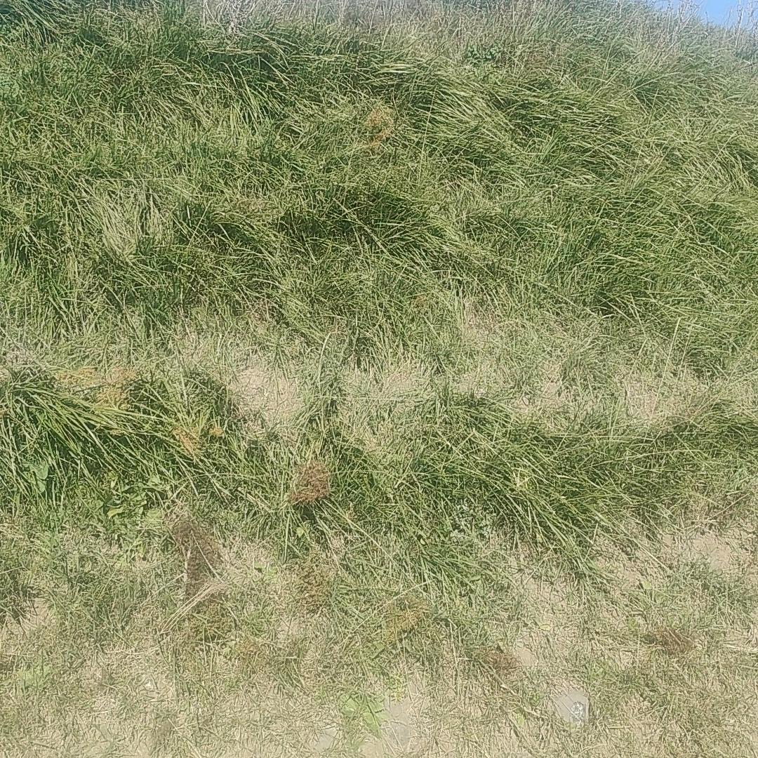 好花从这里开始