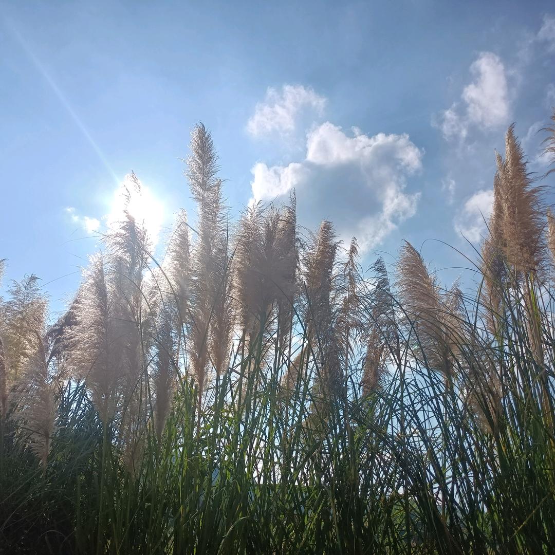 勐象金街এ᭄浅ོ时光ృ༊