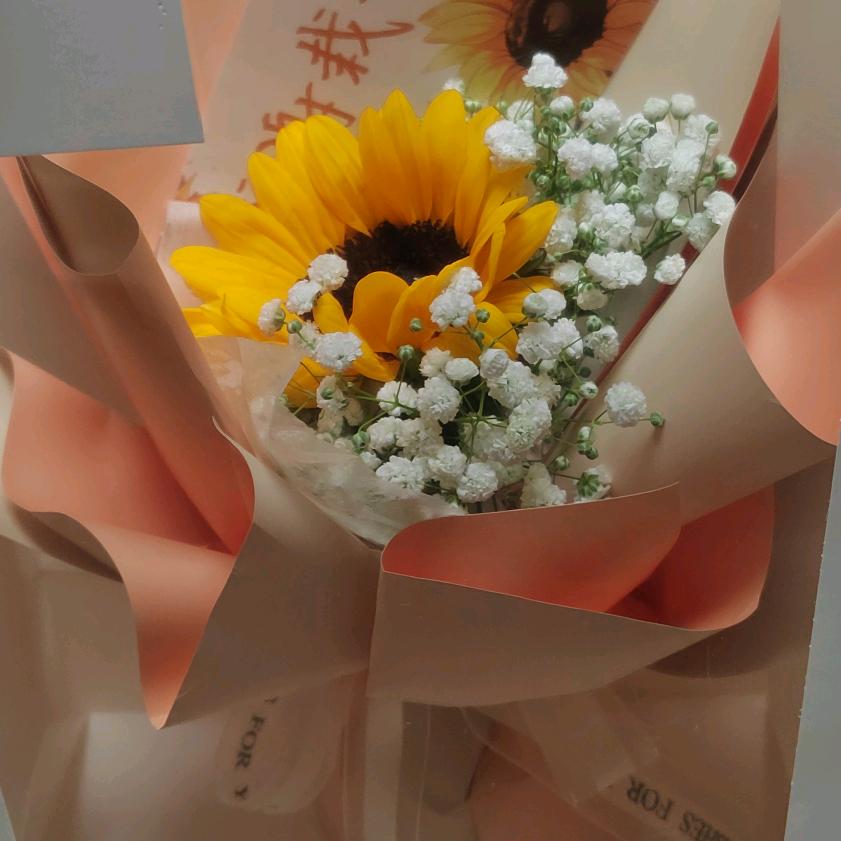 向阳花