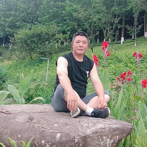 让日光倒流
