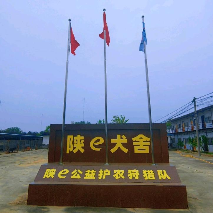 A-小米