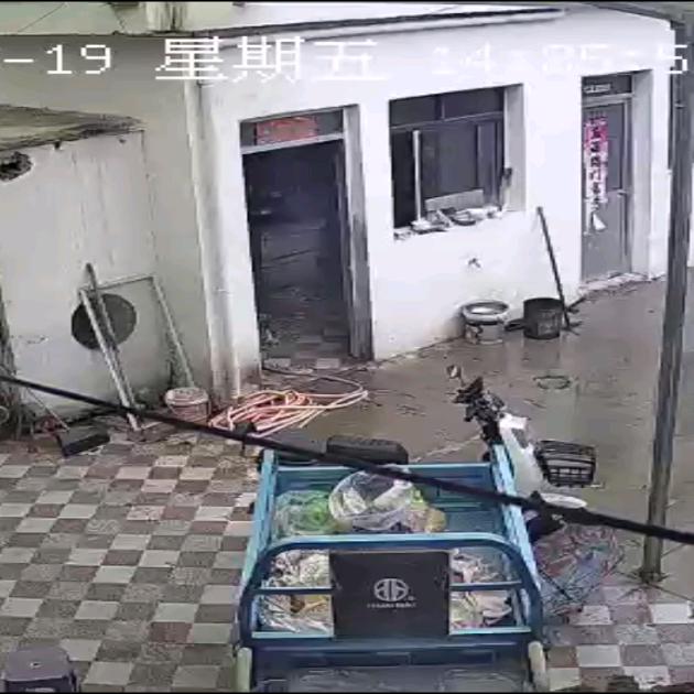 情初自愿